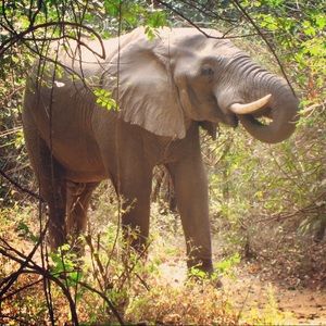 Meet your Posher, Paul